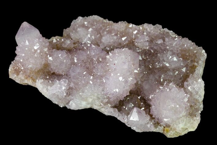 Cactus Quartz (Amethyst) Crystal Cluster - South Africa #137817
